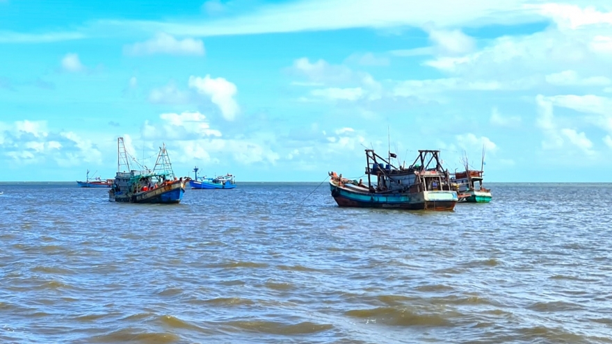 Cà Mau thực hiện IUU: Kết quả tích cực nhưng cần thêm nỗ lực